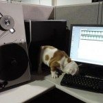 Hank checks out the MACH5 microfilm scanner, 2013